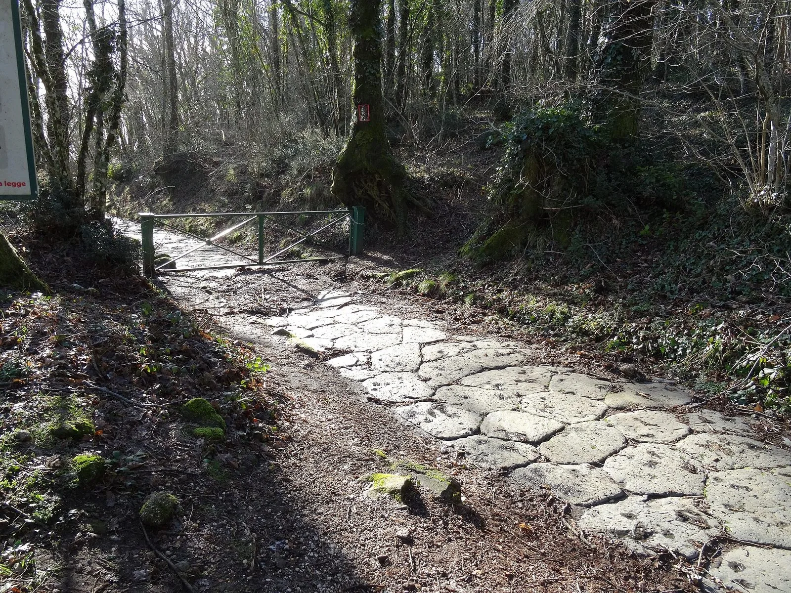 Tratto della Via Sacra su Monte Cavo con i grandi basoli di pietra lavica romani che attraversano un bosco spoglio d'inverno