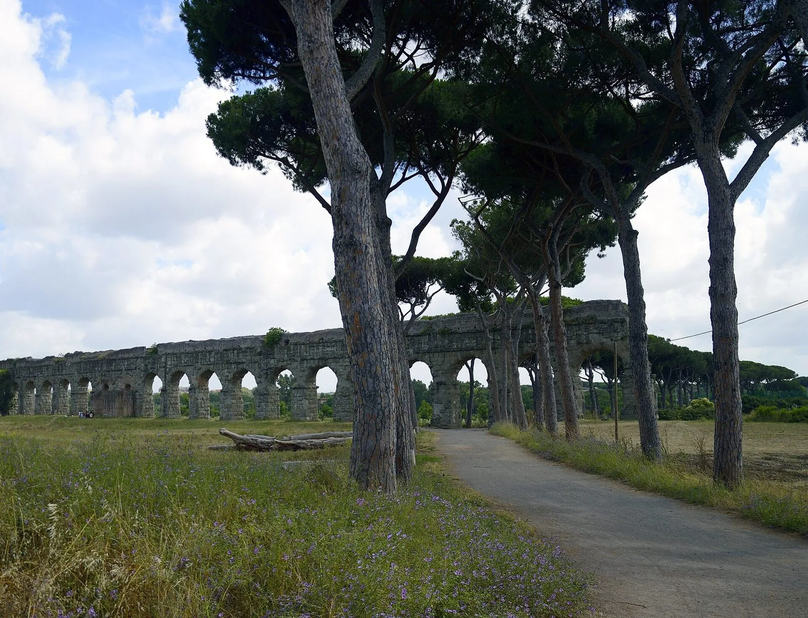 Arcate dell'Acquedotto Claudio nel Parco degli Acquedotti a Roma, con pini marittimi e un vialetto nel prato